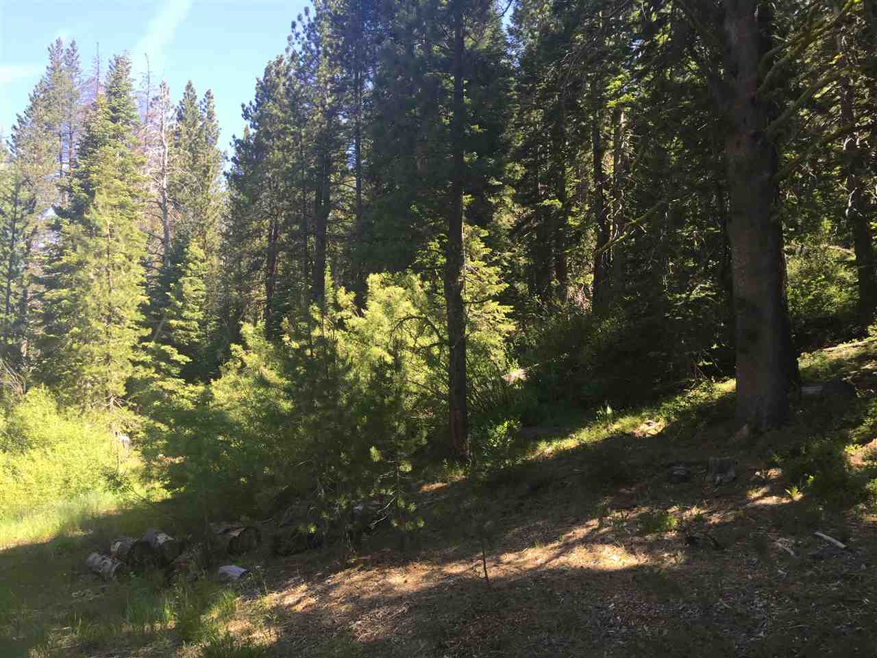 6900 River Road Truckee, CA 96161 - Photo 14 of 17 Gallery Image 14