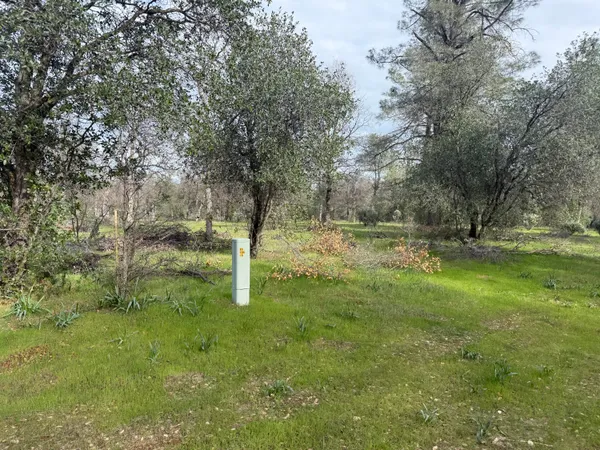 $110,000 | Lot 2 Aegean Way, Anderson, CA 96007