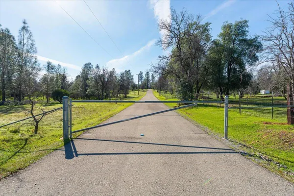 a view of swimming pool with lawn chairs and plants