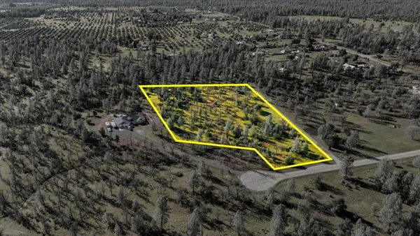 an aerial view of residential houses with outdoor space and trees