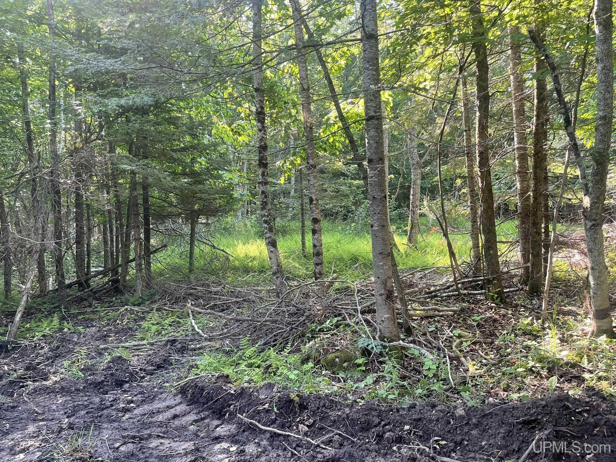 Tbd 17th Road Garden, MI 49835 - Photo 9 of 10