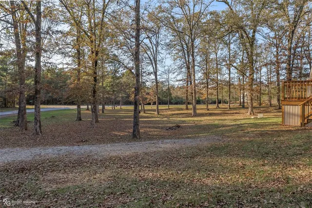 a view of a yard with plants