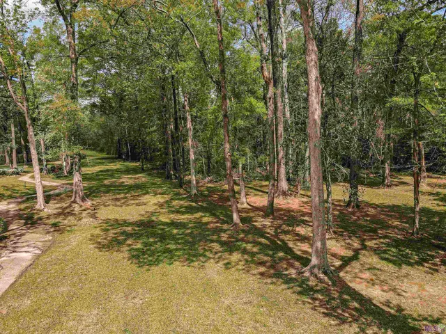 $250,000 | 19537 Creek Round Avenue, Baton Rouge, LA 70817