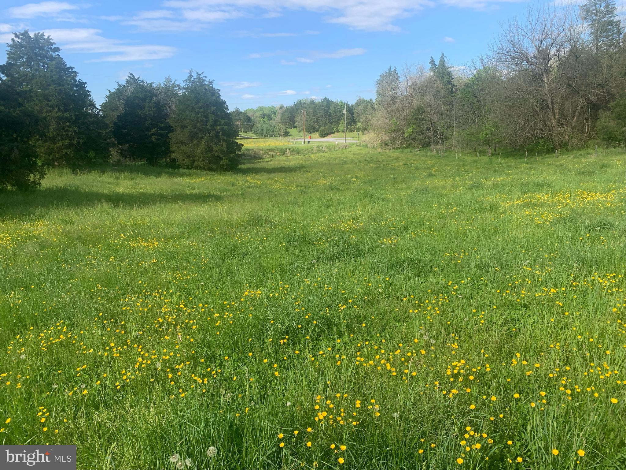 15811 Dellinger Road Williamsport, MD 21795 - Photo 2 of 6 View from back of lot to Dellinger Rd