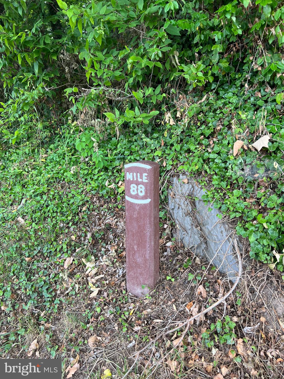 15811 Dellinger Road Williamsport, MD 21795 - Photo 5 of 6 Mile 88 Marker at Canal