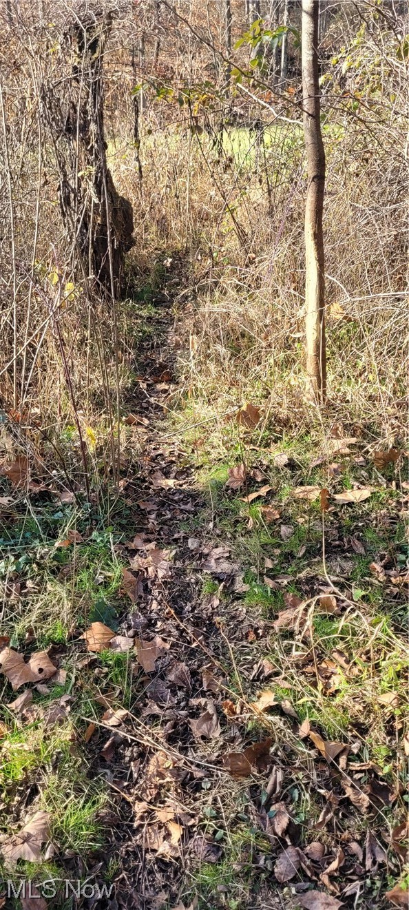 Johnson Run Road Newcomerstown, OH 43832 - Photo 14 of 35 Gallery Image 14
