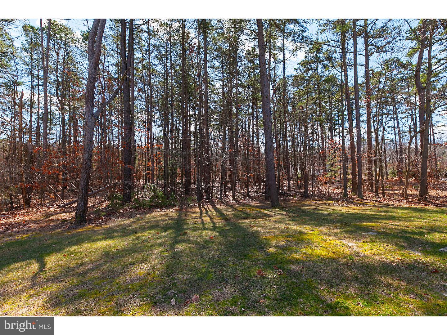 124 Cooper Folly Road Atco, NJ 08004 - Photo 16 of 19 Gallery Image 16