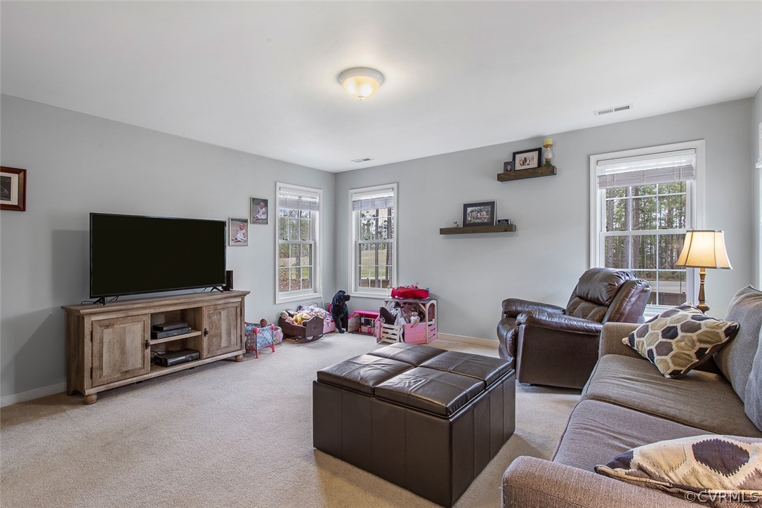 4913 Winding Branch Road Moseley, VA 23120 - Photo 24 of 48 Gallery Image 24