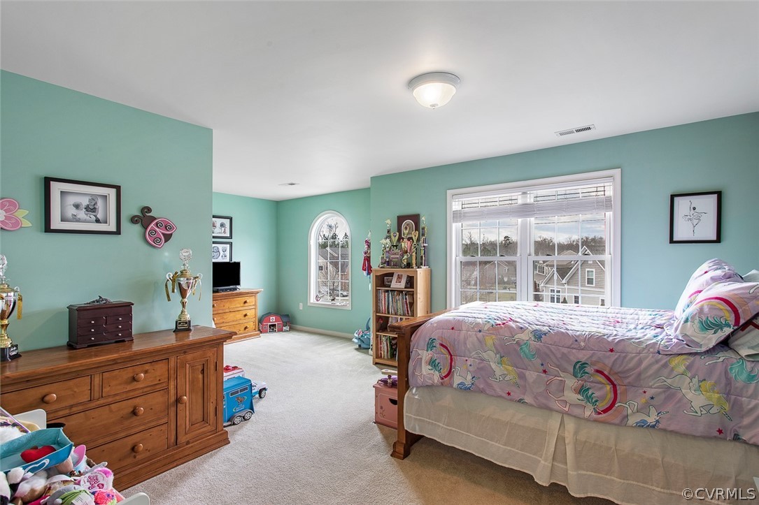 4913 Winding Branch Road Moseley, VA 23120 - Photo 33 of 48 Gallery Image 33