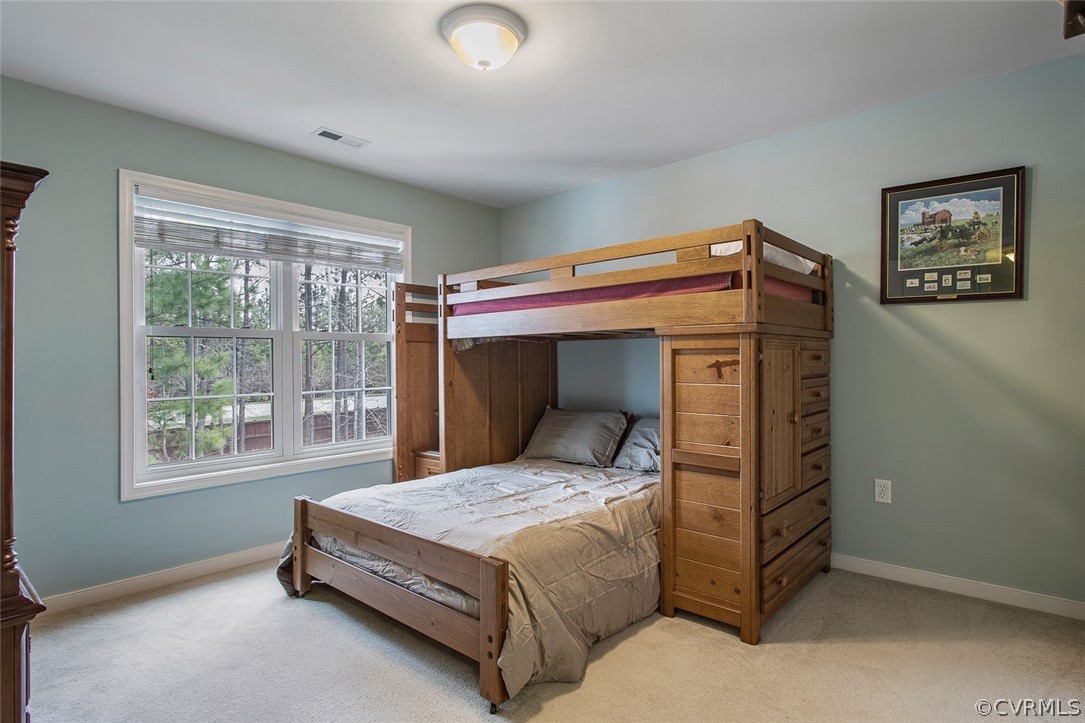 4913 Winding Branch Road Moseley, VA 23120 - Photo 35 of 48 Gallery Image 35
