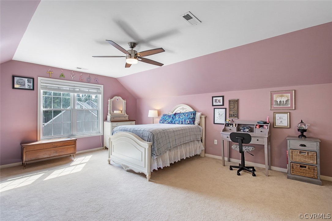 4913 Winding Branch Road Moseley, VA 23120 - Photo 40 of 48 Gallery Image 40