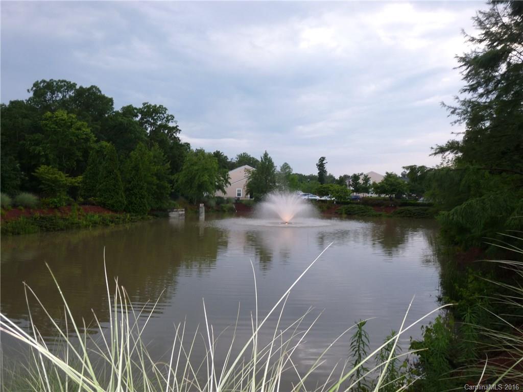 221 River Clay Road, Unit 183 Fort Mill, SC 29708 - Photo 18 of 20 a view of lake