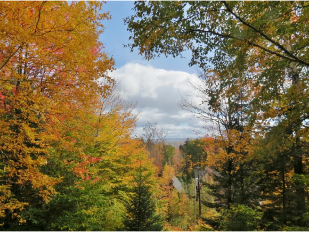 92 Trailside Road Ludlow, VT 05149 - Photo 5 of 28 Gallery Image 5