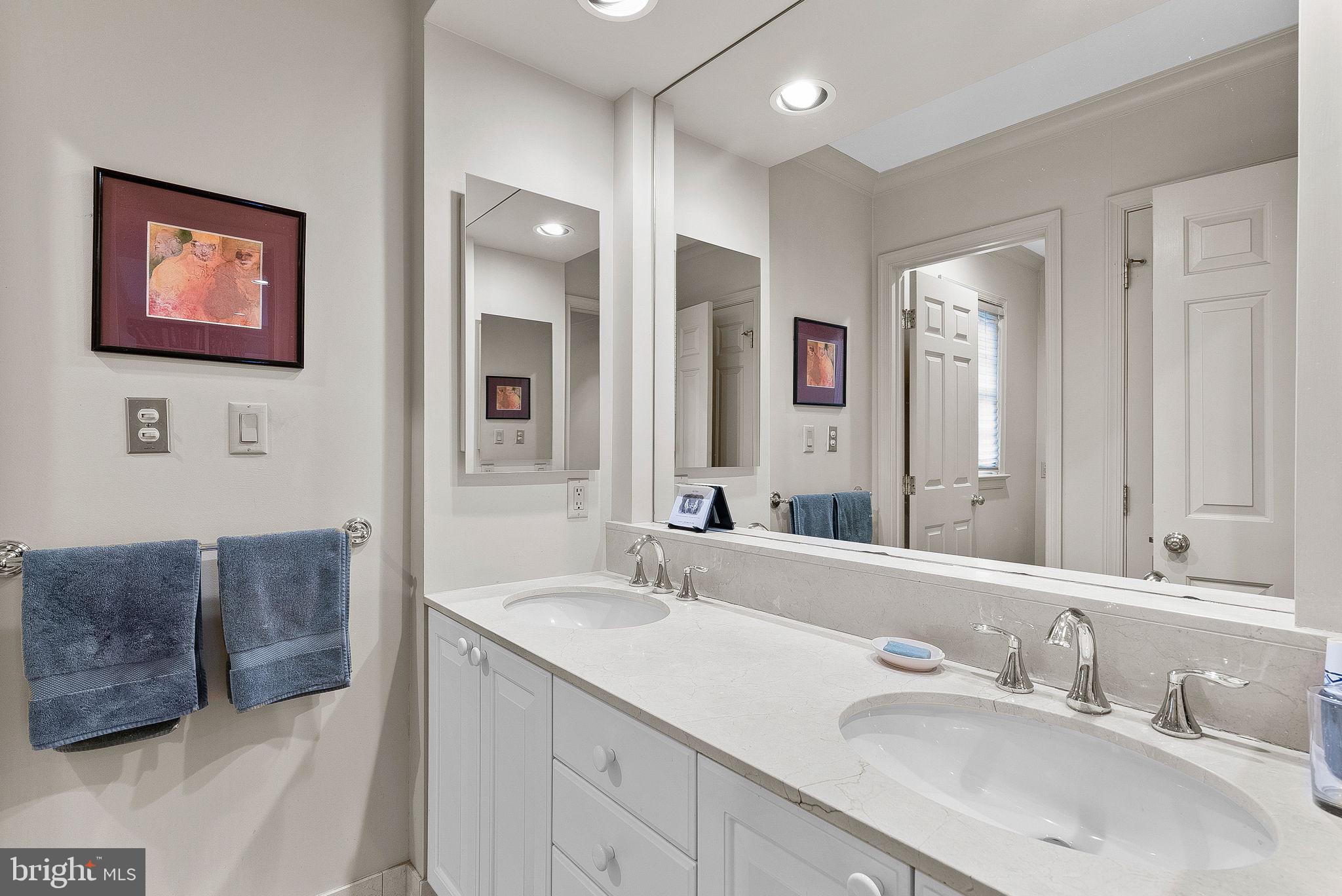 9314 Colesville Road Silver Spring, MD 20901 - Photo 50 of 88 Owner's bathroom double vanity