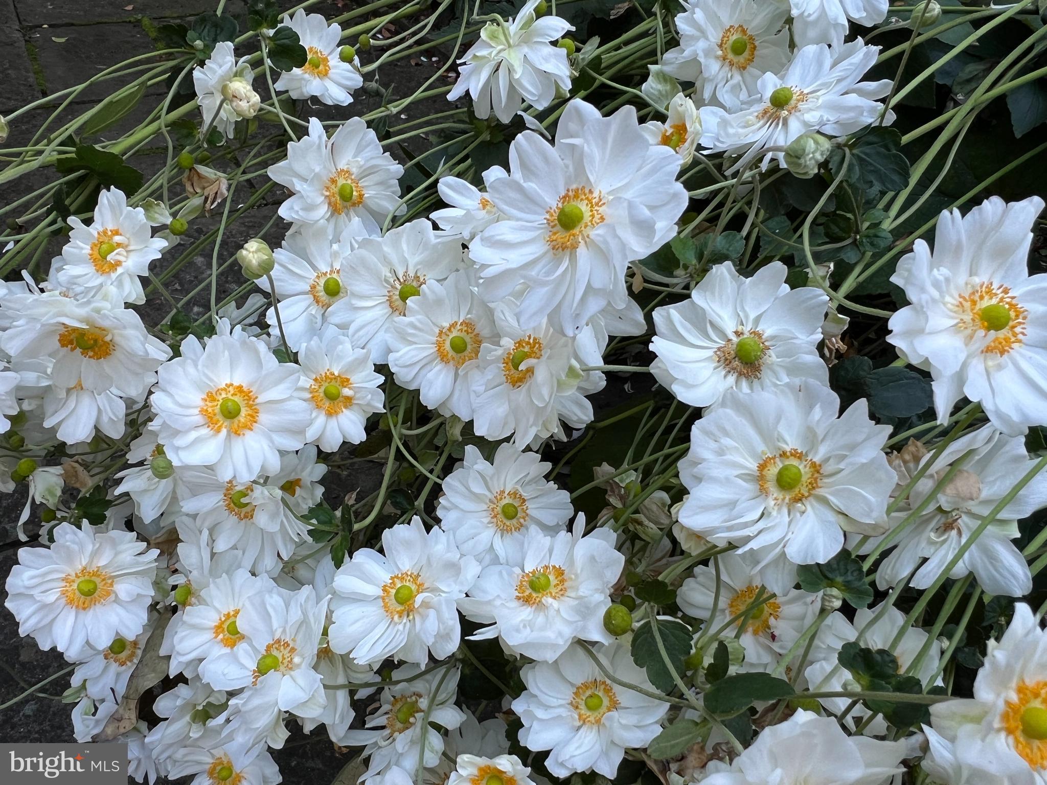 9314 Colesville Road Silver Spring, MD 20901 - Photo 64 of 88