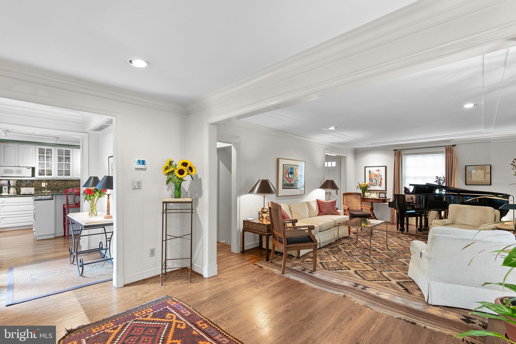 9314 Colesville Road Silver Spring, MD 20901 - Photo 7 of 88 Entrance from the rear garden