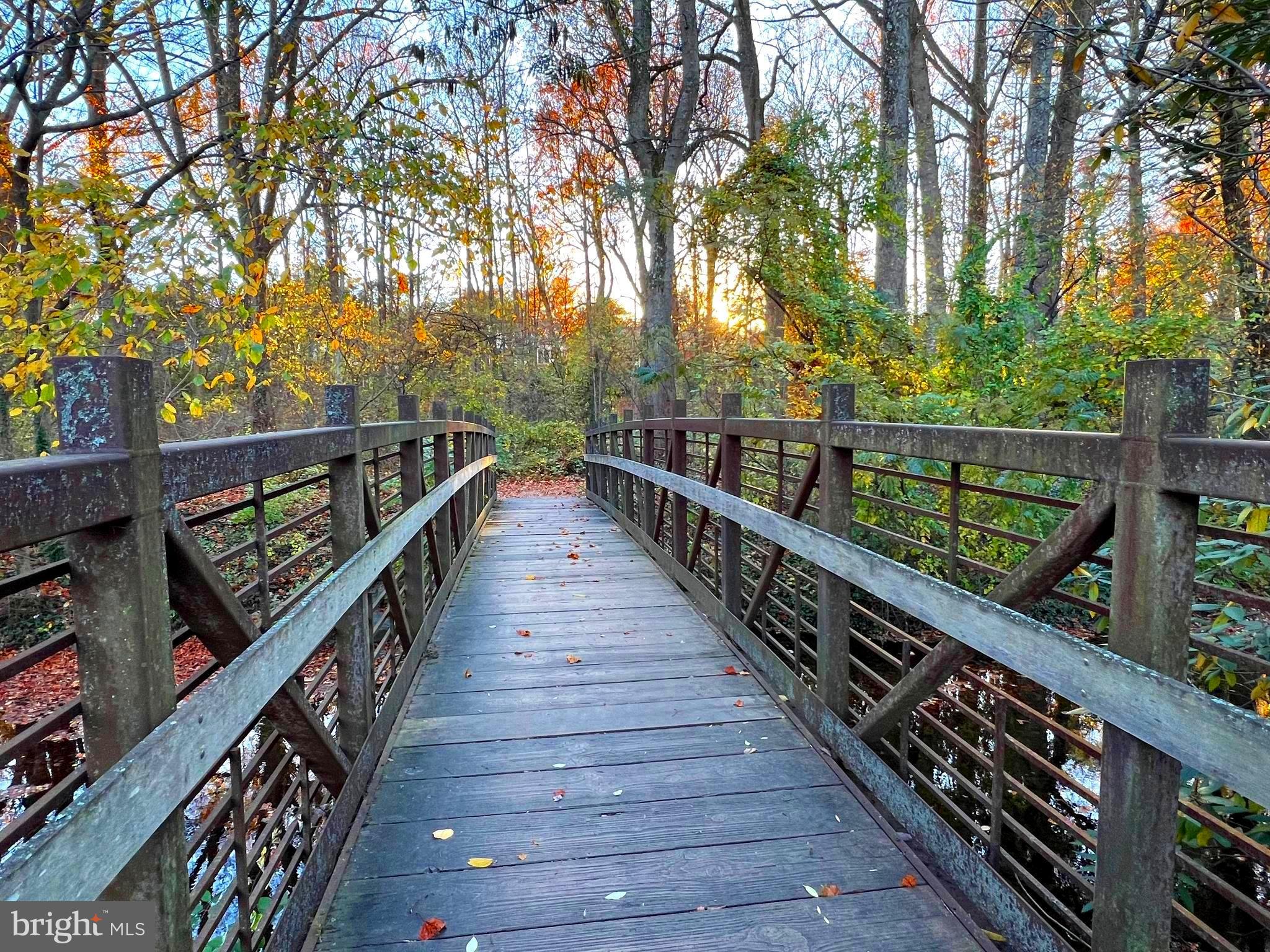 9314 Colesville Road Silver Spring, MD 20901 - Photo 72 of 88 Beautiful walks and trails