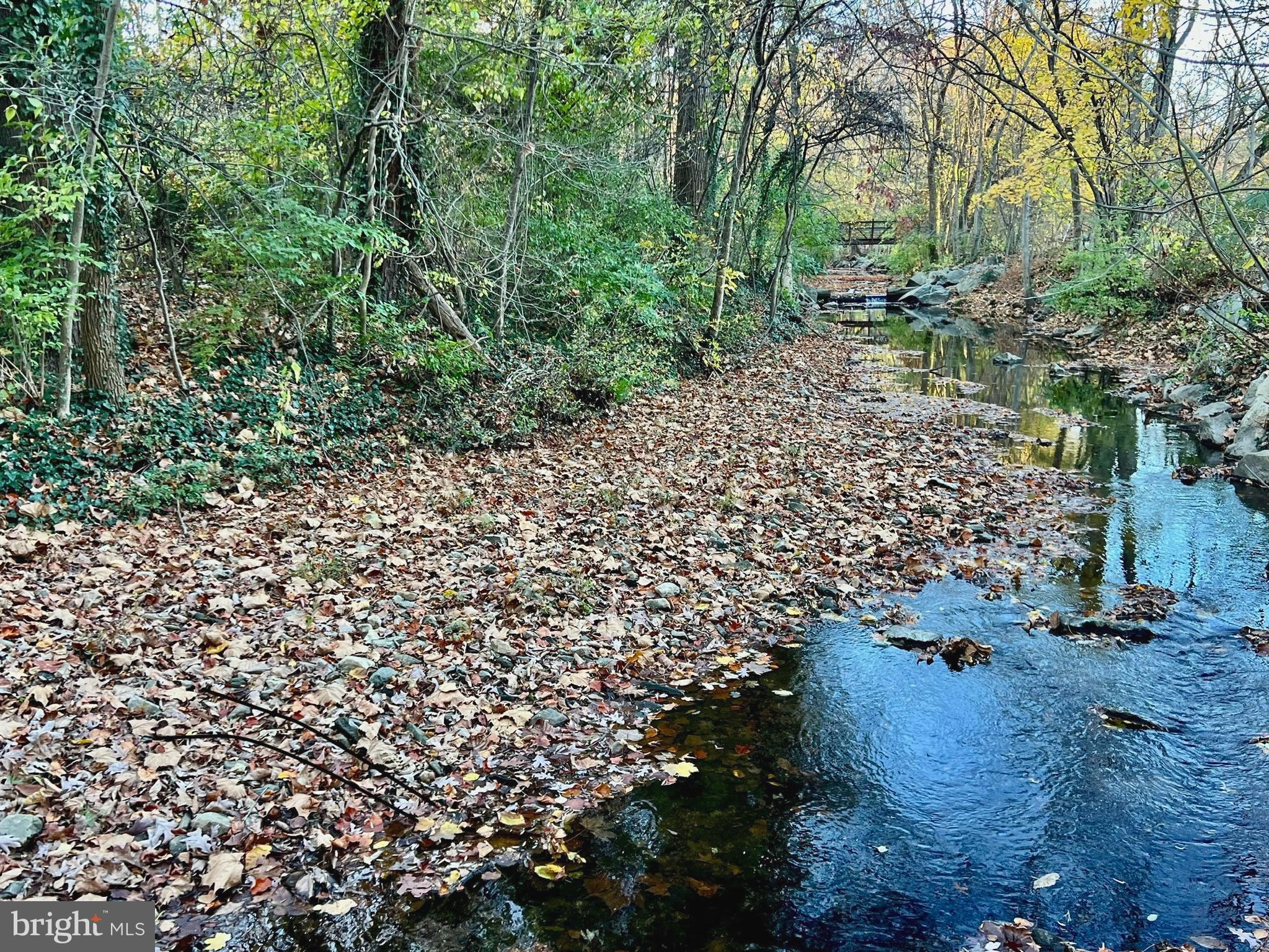 9314 Colesville Road Silver Spring, MD 20901 - Photo 74 of 88 Fall colors