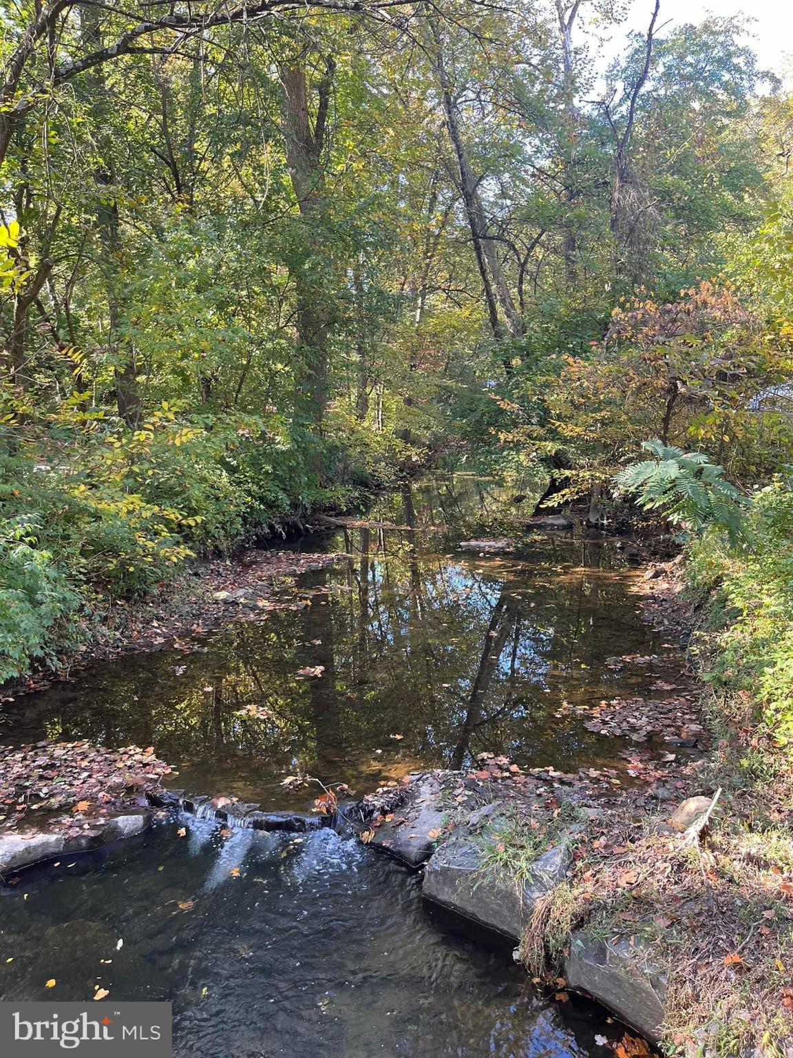 9314 Colesville Road Silver Spring, MD 20901 - Photo 75 of 88 Sligo Creek nature walks