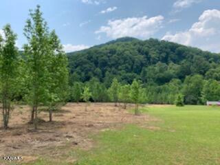 Red Bank Road Sevierville, TN 37876 - Photo 3 of 8 18653688640_18653664796_6_1642693519652