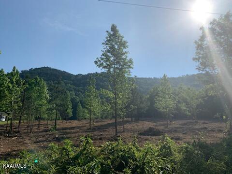 Red Bank Road Sevierville, TN 37876 - Photo 6 of 8 18653688640_18653664796_3_1642693519656