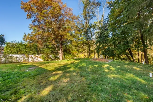 a view of yard with trees