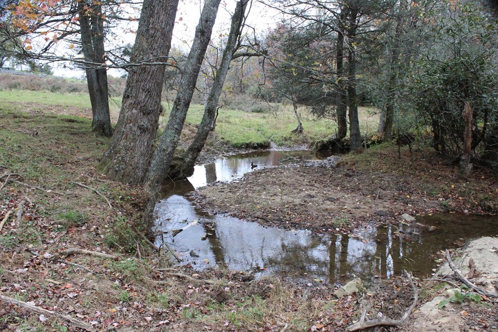 Tbd Terry's Mill Road, Unit 121A61 Laurel Fork, VA 24352 - Photo 21 of 71 Gallery Image 21