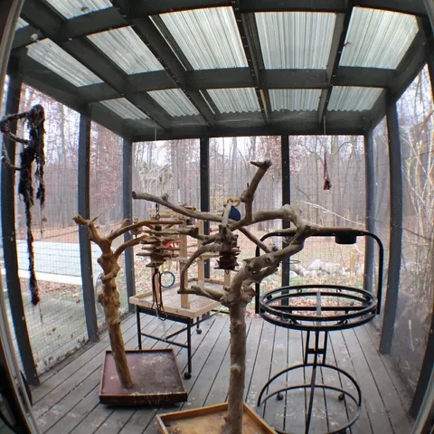 $529,900 | 6635 East Chicago Road, Jonesville, MI 49250