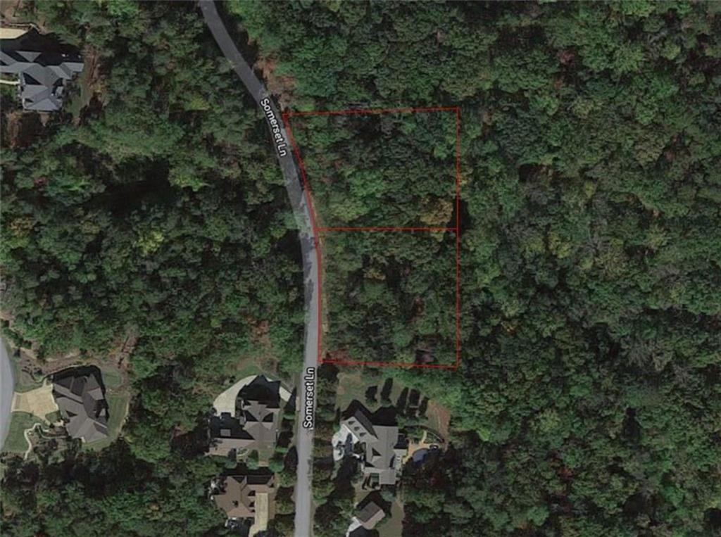 46 Somerset Lane Cartersville, GA 30121 - Photo 8 of 9 a view of a forest with a tree