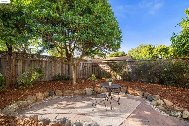 a view of backyard with table and chairs and a large tree
