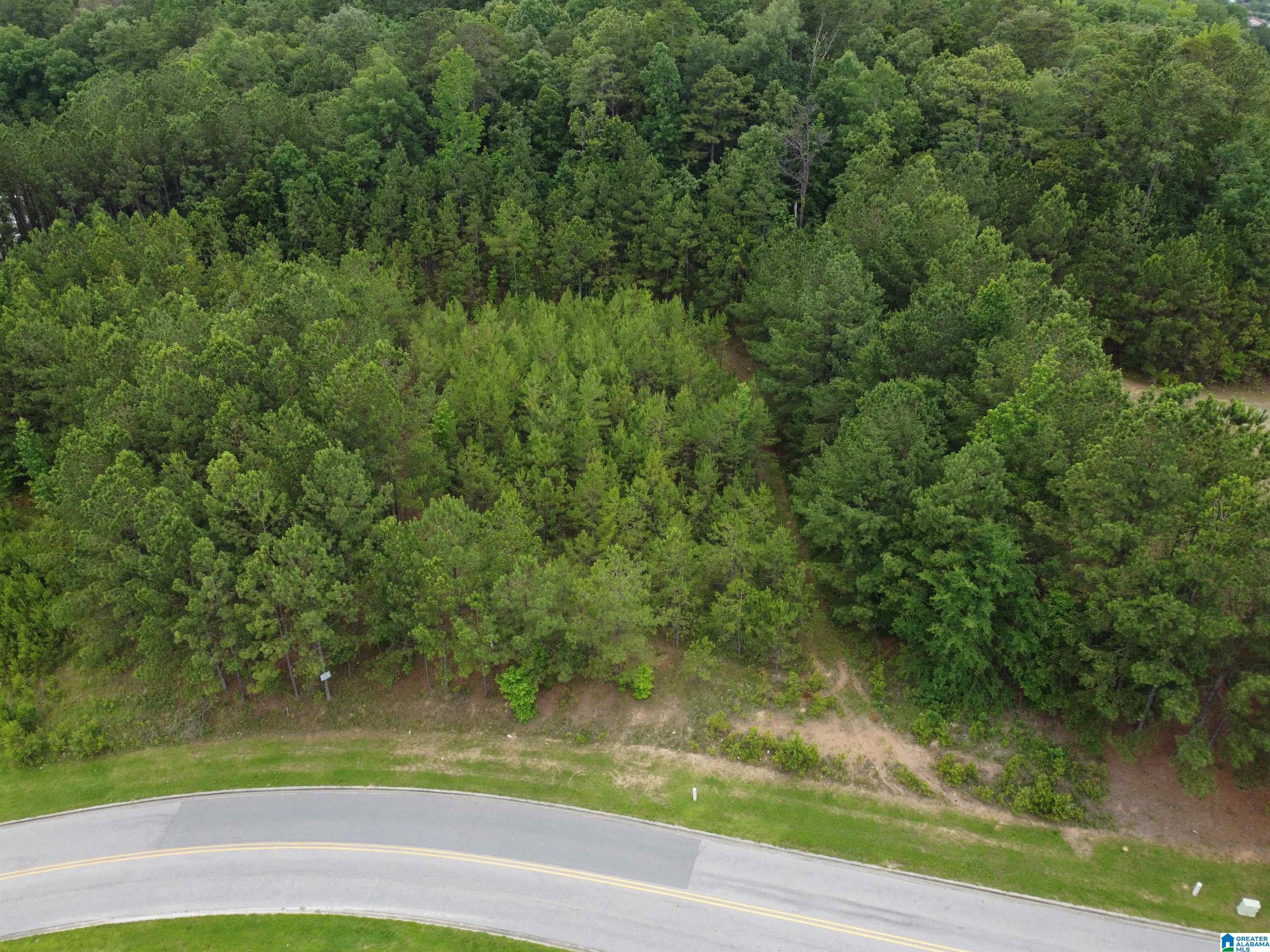 340 Applegate Parkway, Unit 9A Pelham, AL 35124 - Photo 2 of 4