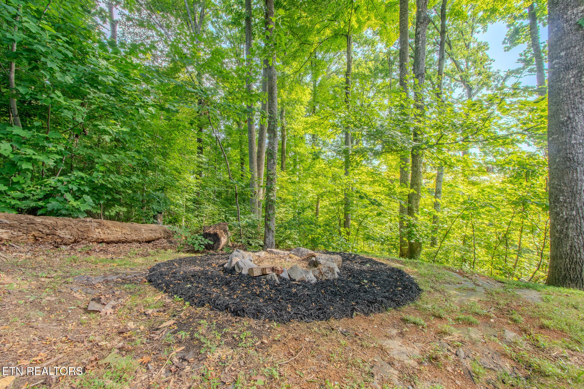 431 Thomas Loop Road Sevierville, TN 37876 - Photo 50 of 60