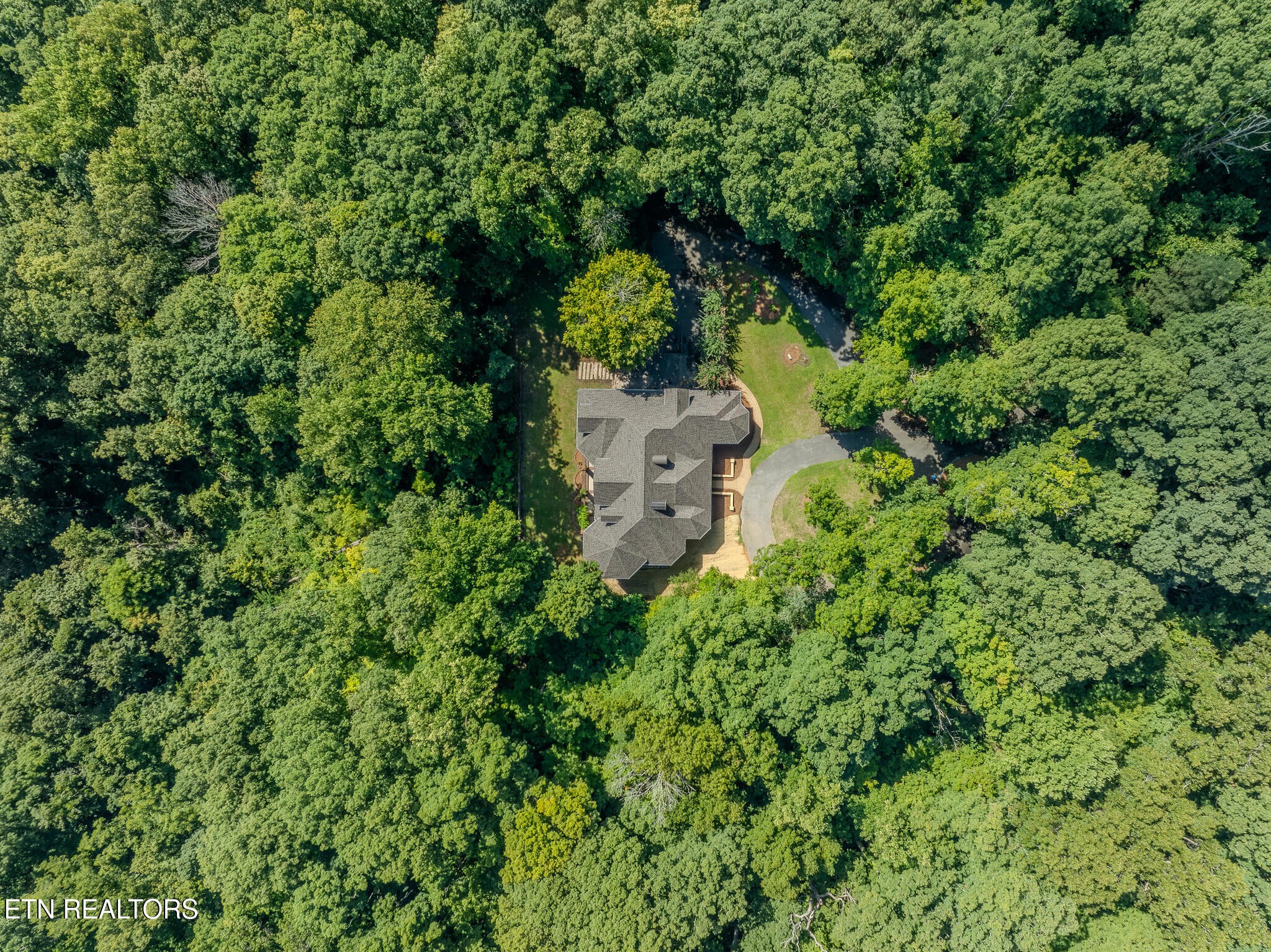 431 Thomas Loop Road Sevierville, TN 37876 - Photo 56 of 60