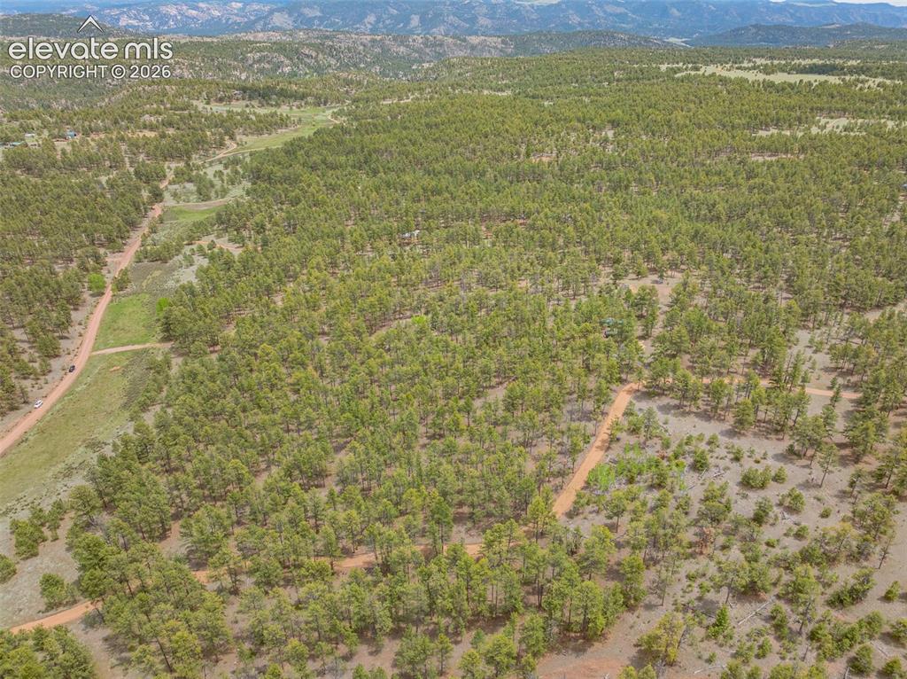 4250 Doe Valley Road Guffey, CO 80820 - Photo 6 of 35