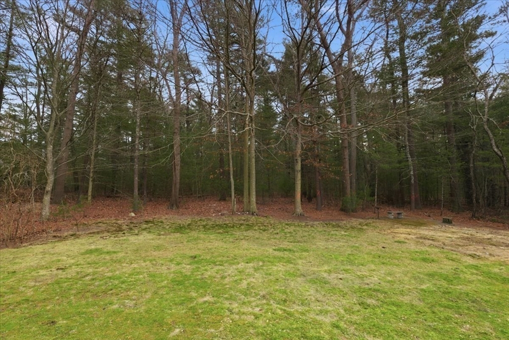 107 Oak Street Pembroke, MA 02359 - Photo 34 of 38 a view of outdoor space with trees