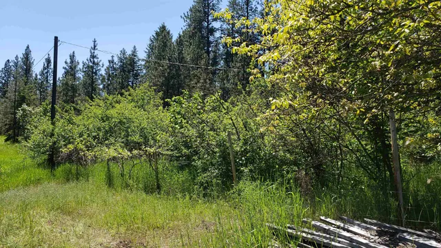 $110,000 | 25055 395 N Highway, Kettle Falls, WA 99141