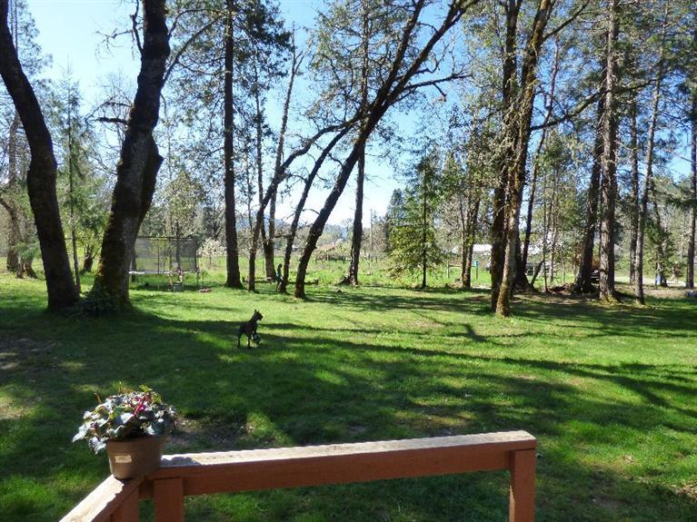 784 Garner Road Cave Junction, OR 97523 - Photo 13 of 22 Front yard looking out front door