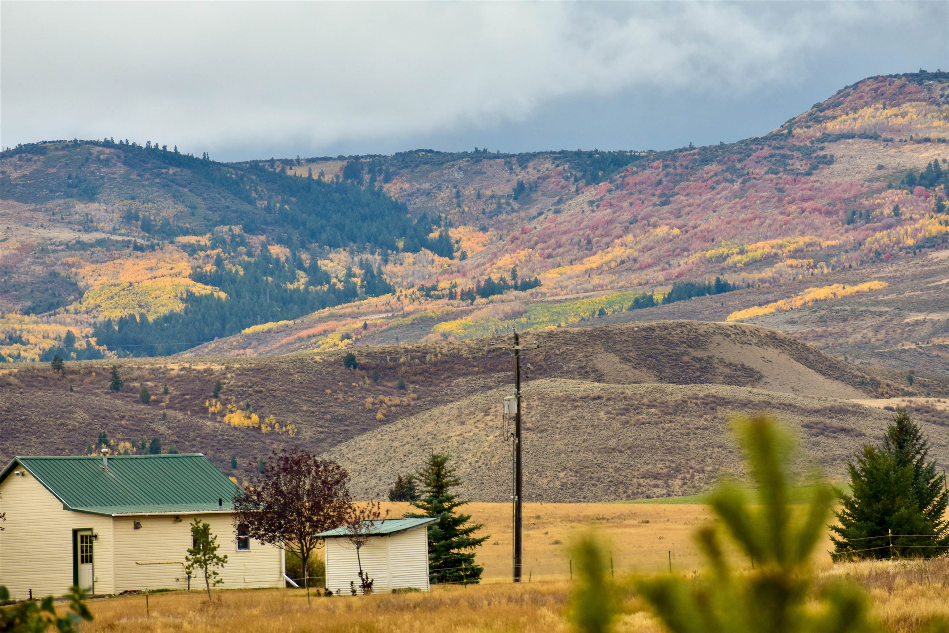 950 Miles Road Bancroft, ID 83217 - Photo 39 of 41 Gallery Image 39