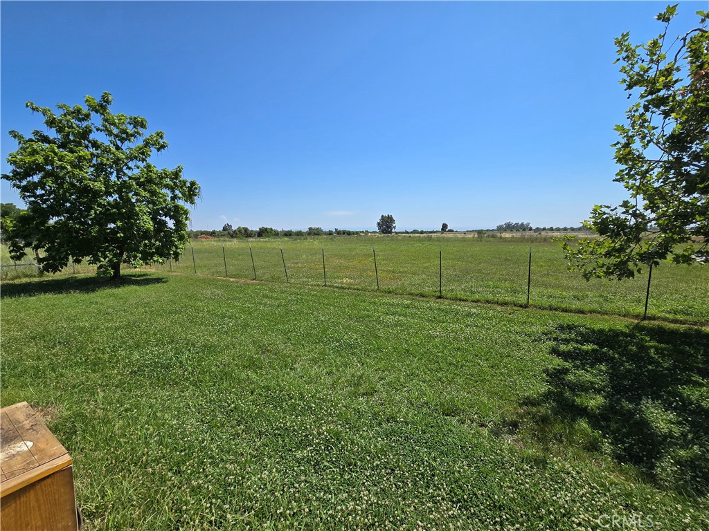 4280 County Road North Orland, CA 95963 - Photo 45 of 62 a view of a field with a tree in the background