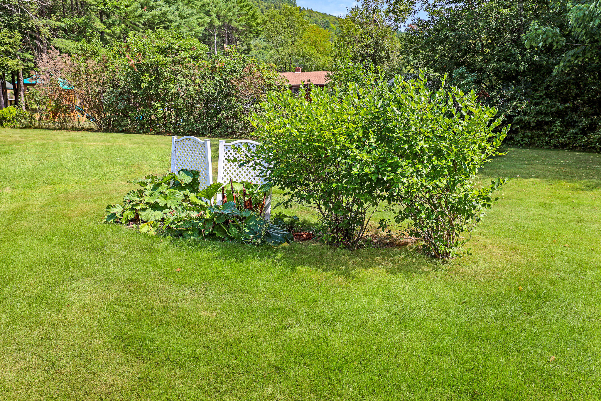 6 Victory Lane Dixfield, ME 04224 - Photo 45 of 46 447A9507