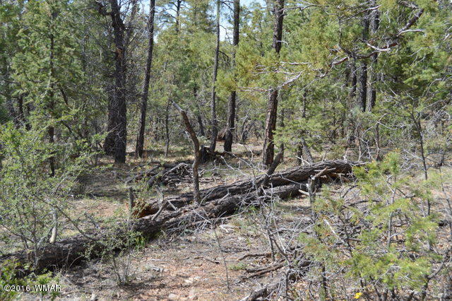 5147 Taylor Road Road Lakeside, AZ 85929 - Photo 2 of 2