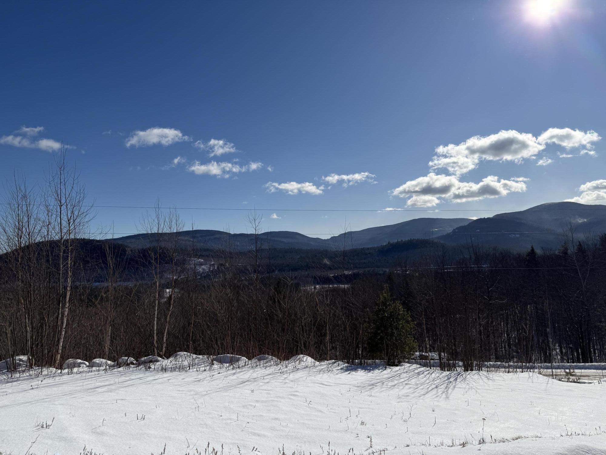 98 Mountain Vista Road Bethel, ME 04217 - Photo 6 of 32 View from driveway
