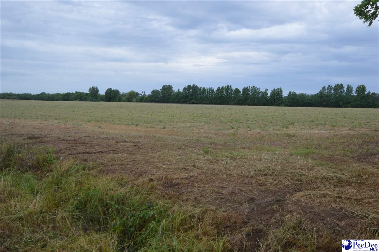 Lot 4 Byrdtown Road Hartsville, SC 29550 - Photo 1 of 1 Gallery Image 1