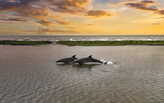 $748,862 | 549 Private Road 675, Sargent, TX 77414