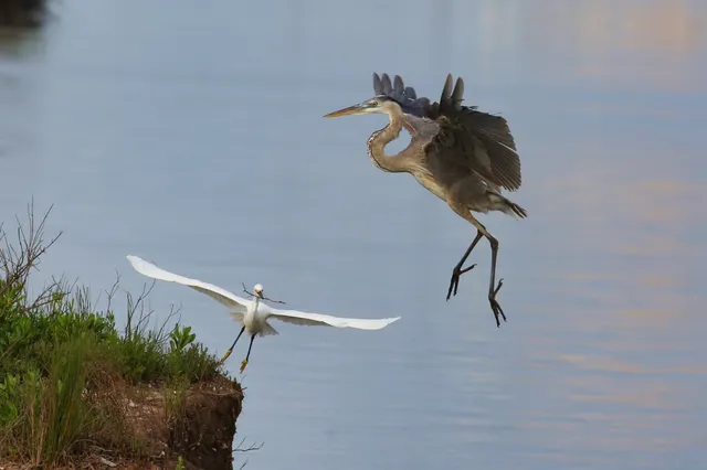 $748,862 | 549 Private Road 675, Sargent, TX 77414