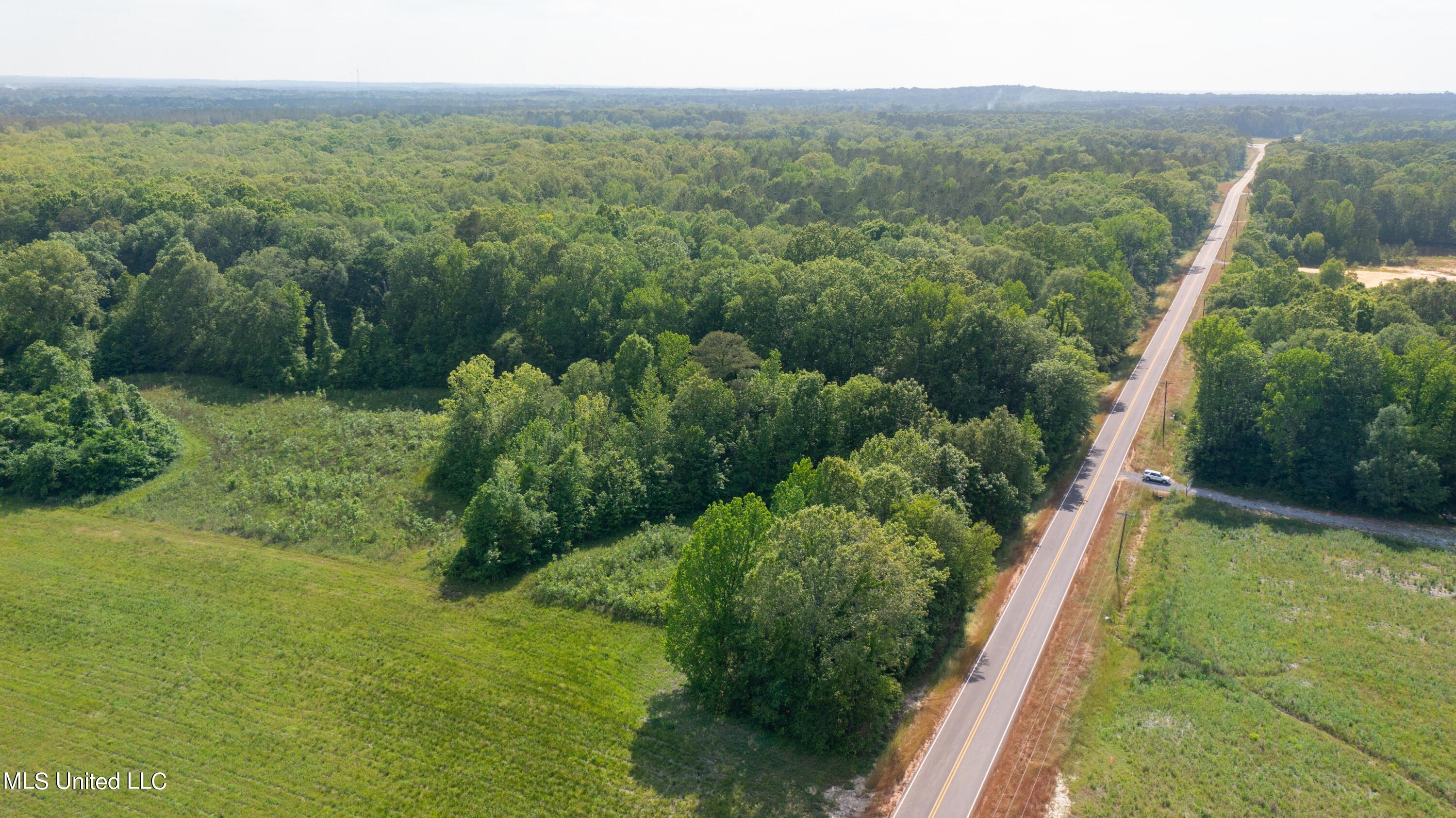 0 Stull Road Brandon, MS 39047 - Photo 8 of 8 Stull Rd-10acres-8