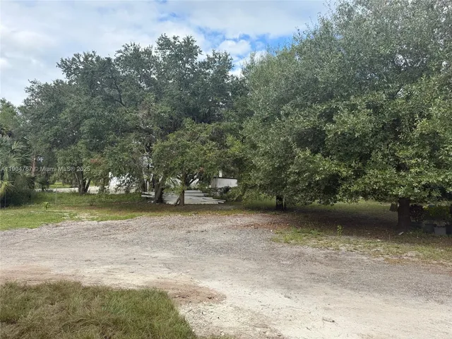 a view of a yard with a trees