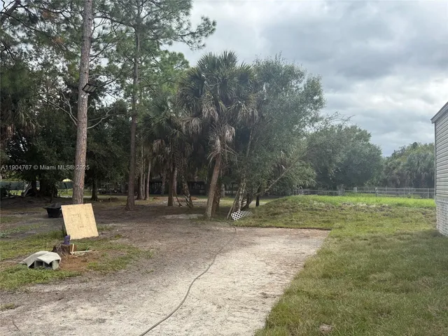 a view of a park with large trees