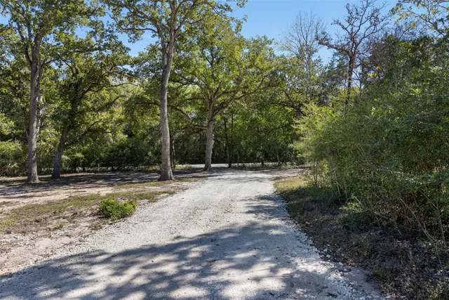 a view of a backyard with large trees