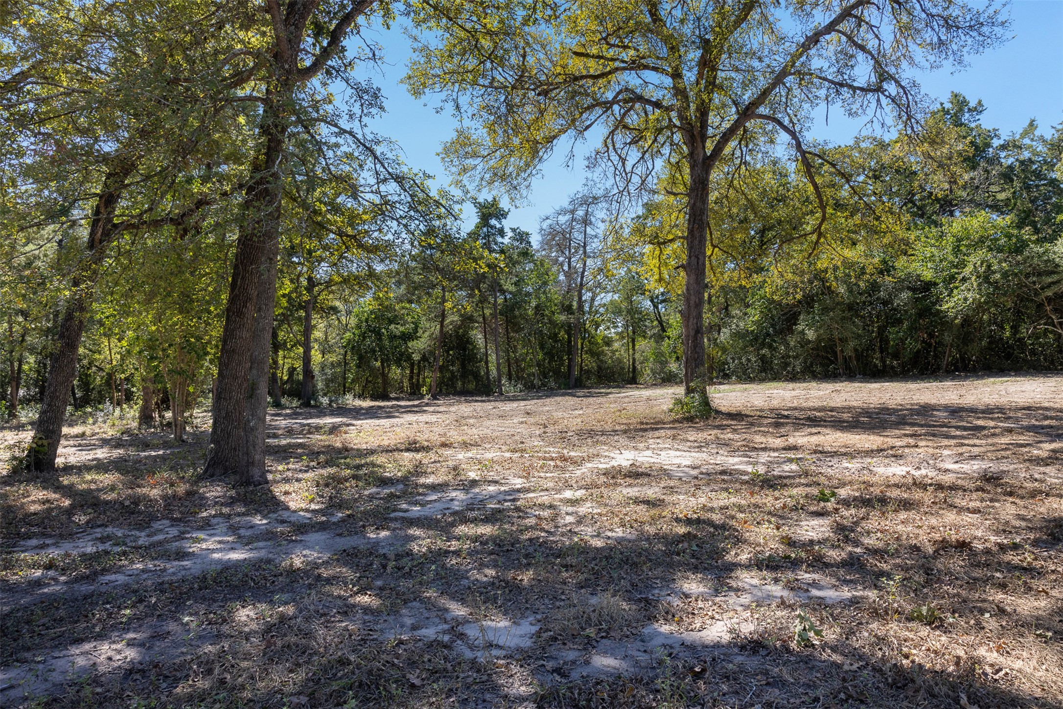 576 Hickory Bend Road Brenham, TX 77833 - Photo 8 of 32
